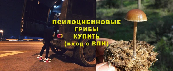 амф Алексеевка