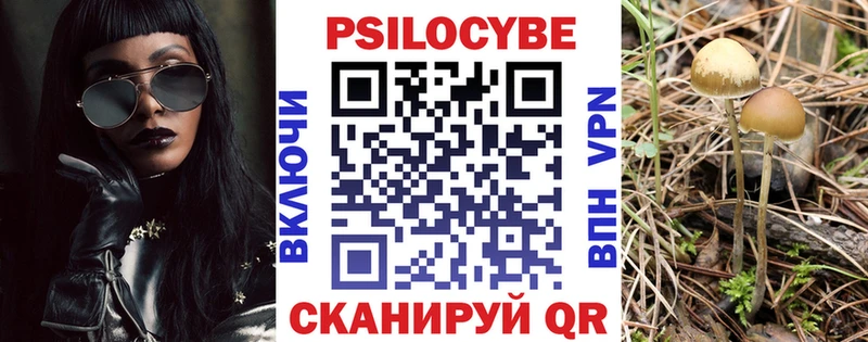 mega как зайти  Белоозёрский  Псилоцибиновые грибы Psilocybine cubensis 